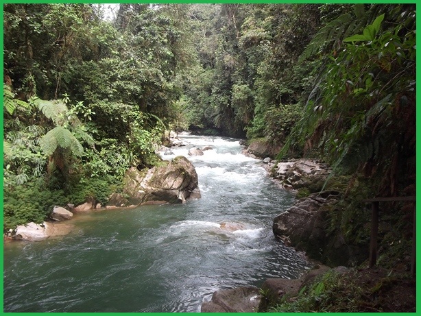 Copalinga Reserve Birding Tours.Bombuscaro River