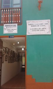 Galeria Aves en Arte