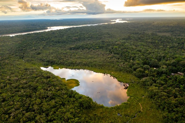 Sacha lodge Yasuni National Park Birding Tour Lagoon