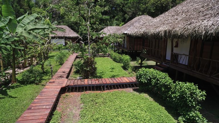Sacha Lodge cabins surrounded by rainforest in the Ecuadorian Amazon