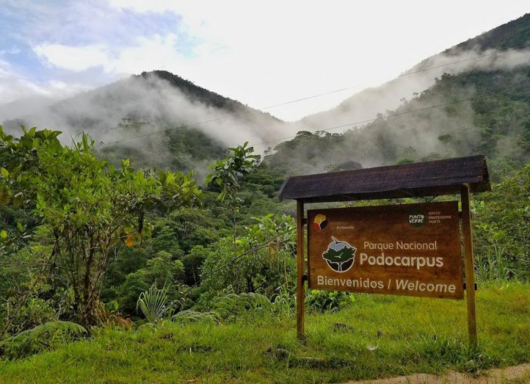 Tour de observación de aves Catamayo, Parque Podocarpus, Copalinga Bombuscaro River