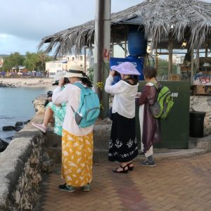 Galapagos San Cristobal Day Birding Tour | Ideal for Cruise Visitors & Photographers