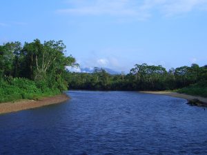 Remote Birding Tour Southern Ecuador Nangaritza River.