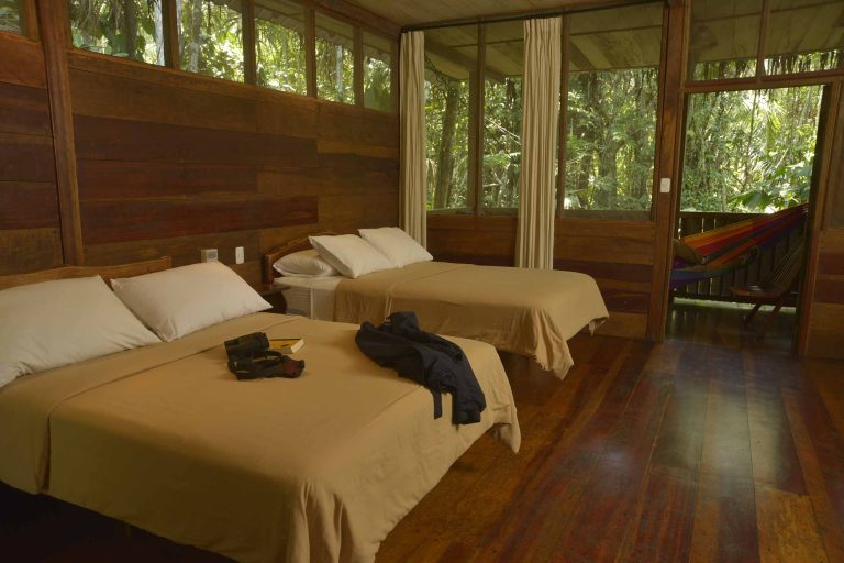 Guest room at Sacha Lodge surrounded by the Ecuadorian Amazon rainforest
