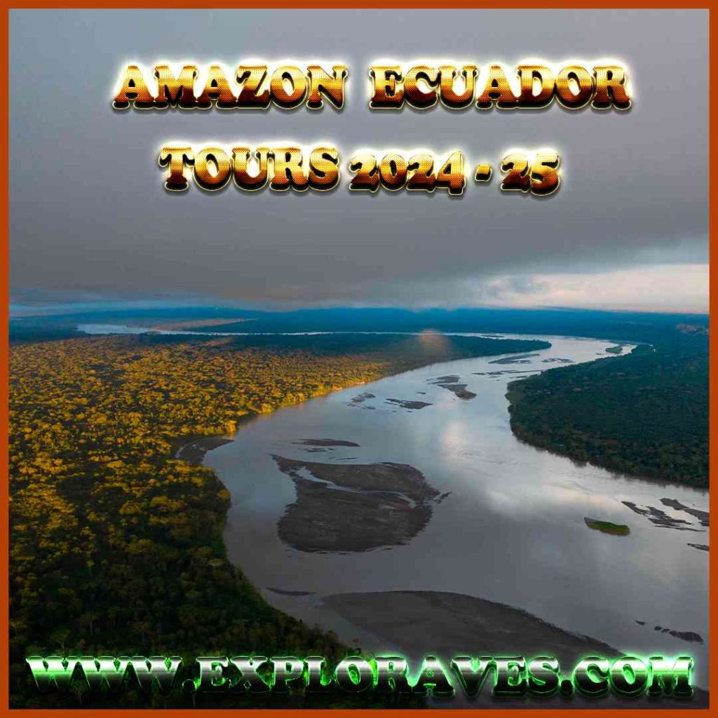 Amazon Ecuador