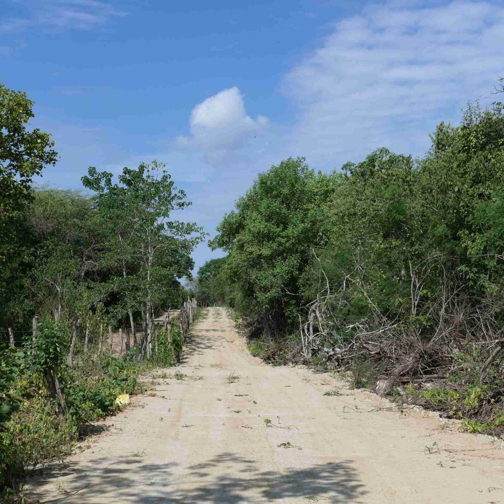 La Huaca Lagoon Lodge Birdwatching in Santa Rosa. Ecuador