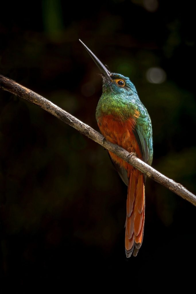 Podocarpus National Park Tours 2025 - 2026