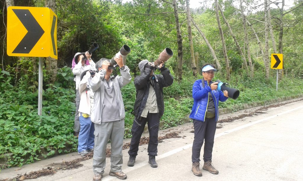 10 days Birding Tour Southern Ecuador 2026 Coast