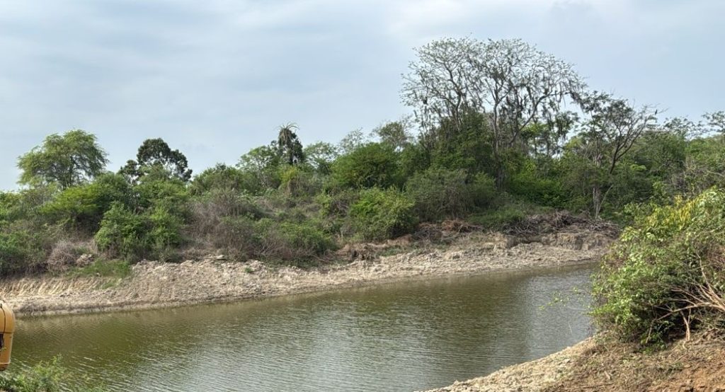 Birdwatching in Santa Rosa, Ecuador – La Huaca Private Reserve. Chacras