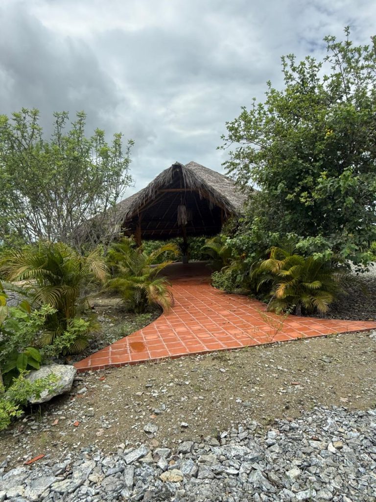 La Huaca Lagoon Lodge Birdwatching in Santa Rosa. Ecuador
