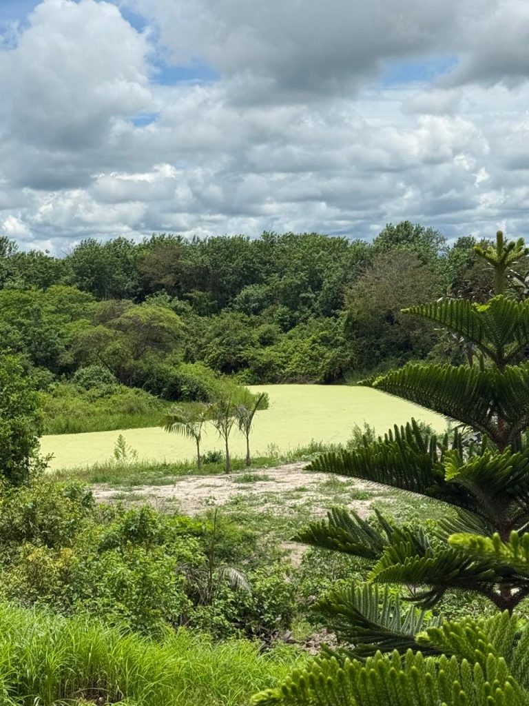 La Huaca Lagoon Lodge Birdwatching Chacras Ecuador