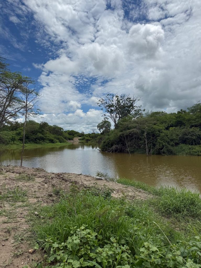 La Huaca Wetland Lodge Chacras Santa Rosa Arenillas.