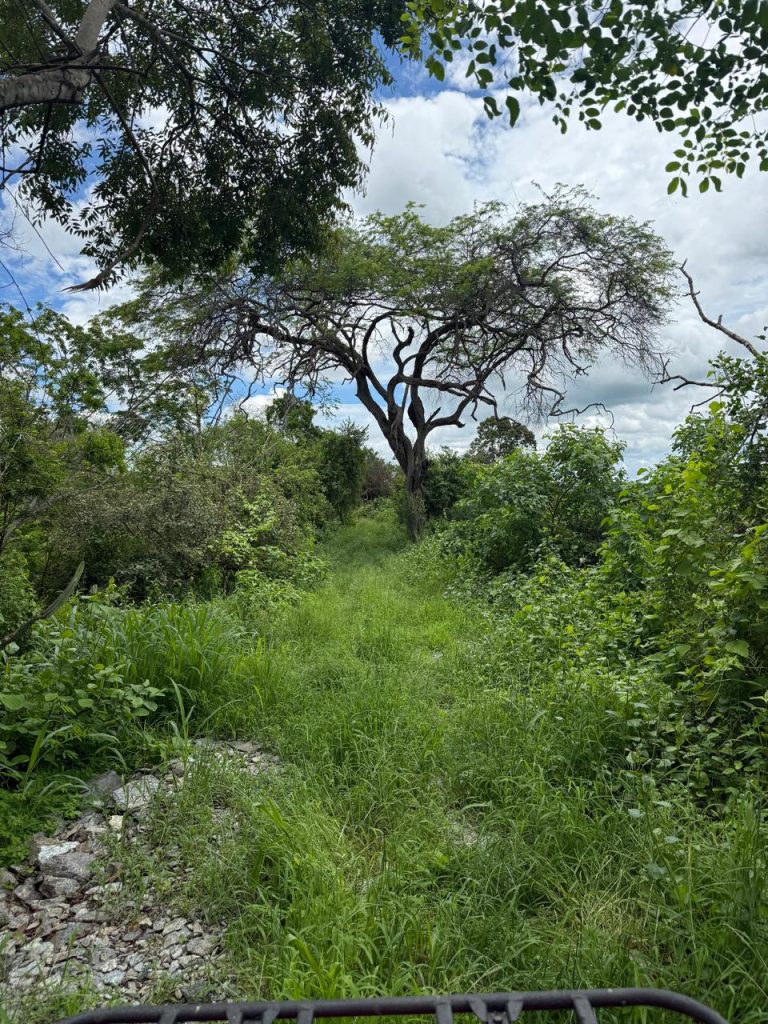 La Huaca Lagoon Lodge Birdwatching Chacras Ecuador
