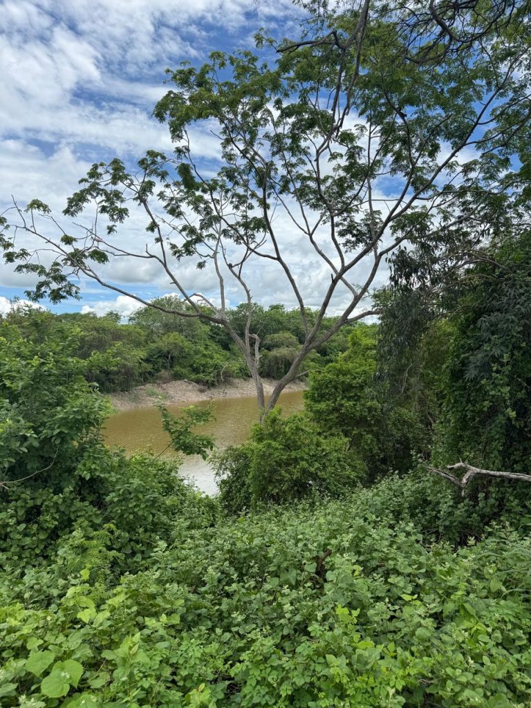 La Huaca Wetland Lodge Chacras Santa Rosa Arenillas.