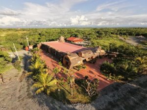 Southern Ecuador Birding Tour – 10-Day Itinerary (August 2026)