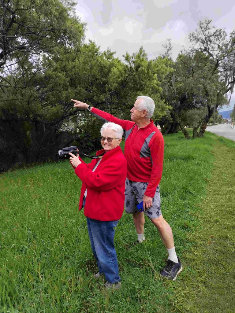 Birdwatching Around Loja – Urban Parks & Nearby Forests Birding Malacatos River