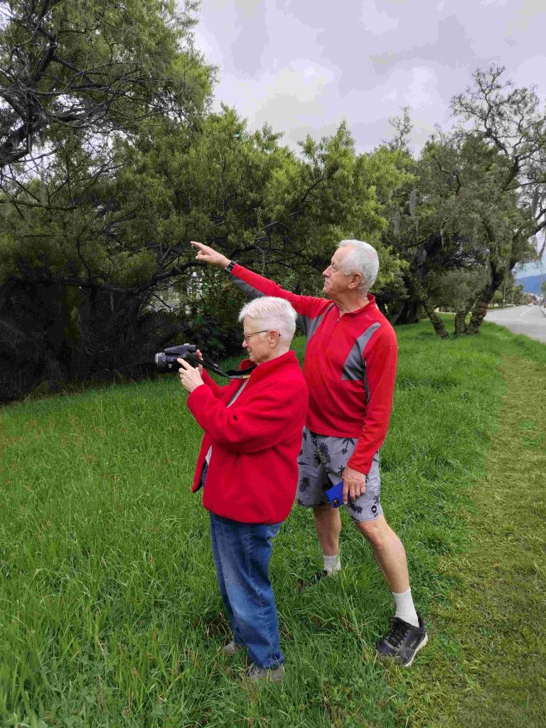 Birdwatching Around Loja – Urban Parks & Nearby Forests Birding Malacatos River