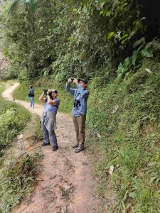 Podocarpus National Park Birding Tours 2026