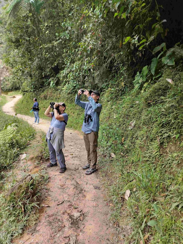 Podocarpus National Park Birding Tours 2026