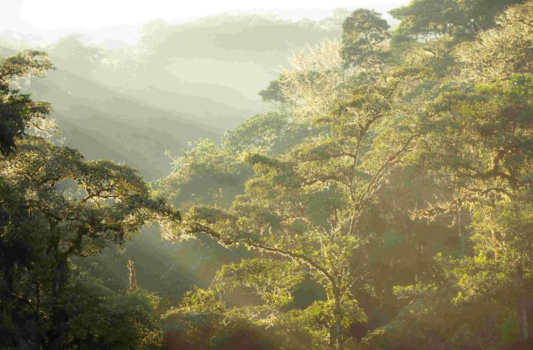 Beautiful sunset over the Mindo Cloud Forest, one of the highlights of our Northern Ecuador & Galápagos Birding Tour.
