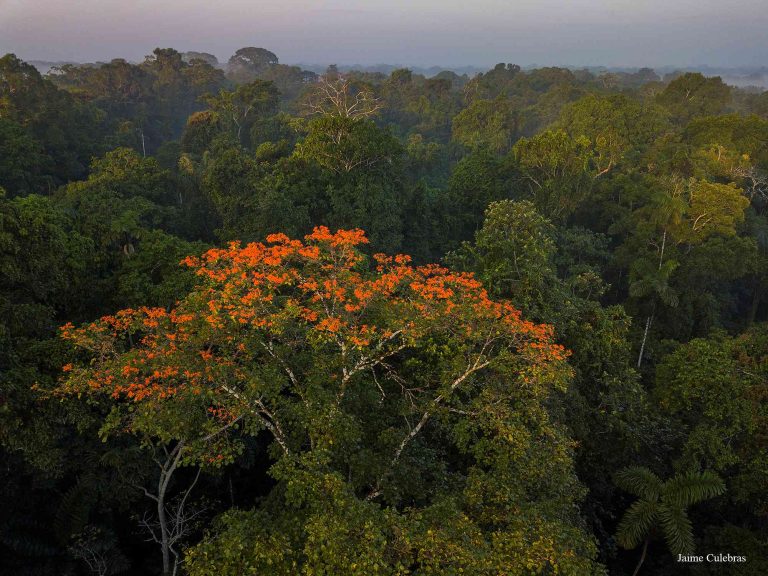 En el corazón de la Amazonía Ecuatoriana