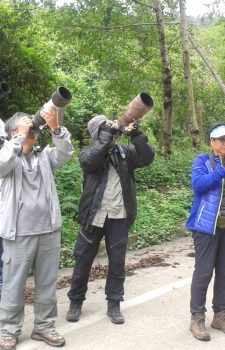 中国观鸟与摄影团队——2025–2026年厄瓜多尔长者观鸟之旅。