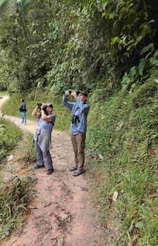 Podocarpus National Park Birding Tours 2026