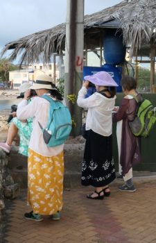 Galapagos San Cristobal Day Birding Tour | Ideal for Cruise Visitors & Photographers