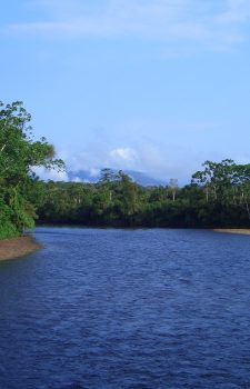 Remote Birding Tour Southern Ecuador Nangaritza River.